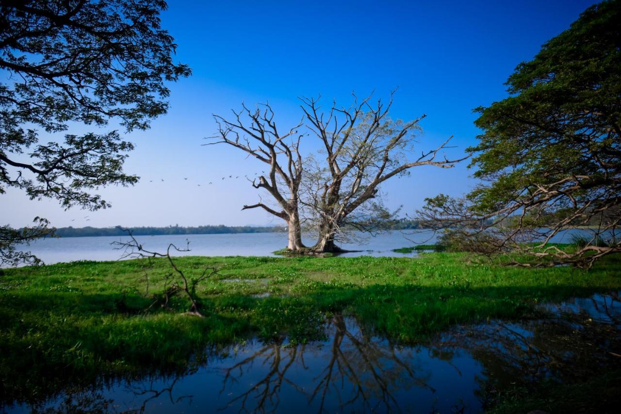 Double Lake View Tissa & Safari Тиссамахарама Экстерьер фото